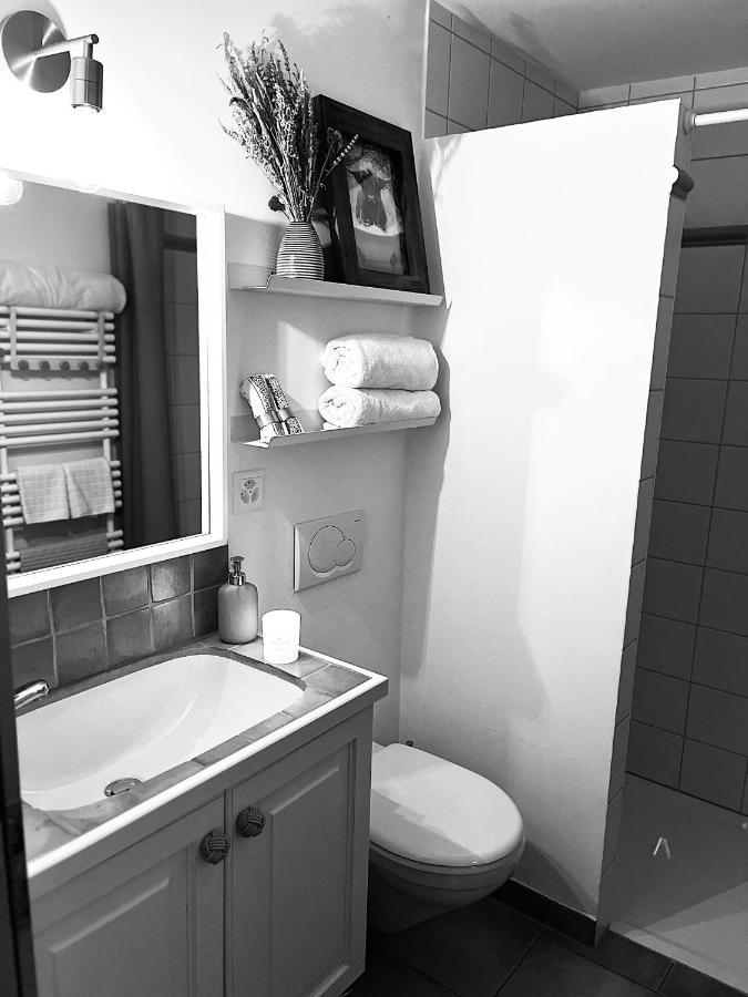 Chalet Apartment Serenity Lodge Charmey Exteriér fotografie